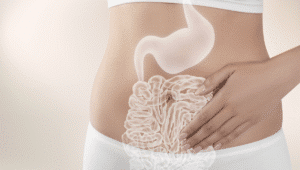 Conoce todo sobre la microbiota intestinal.