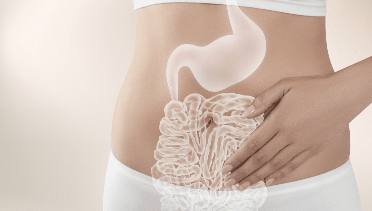 Conoce todo sobre la microbiota intestinal.